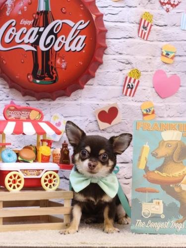 20230916くぅたくん